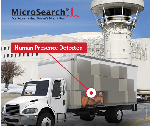 MicroSearch